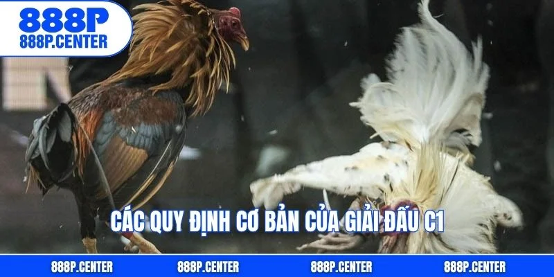 Các quy định cơ bản của giải đấu C1