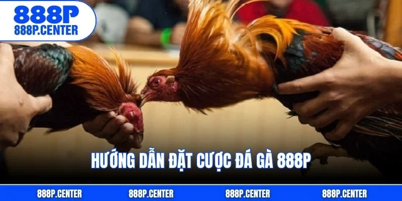 Hướng dẫn đặt cược đá gà 888p
